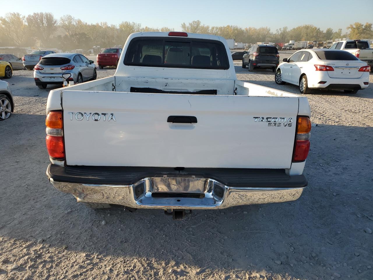 2003 Toyota Tacoma Xtracab VIN: 5TEWN72NX3Z165989 Lot: 76987374