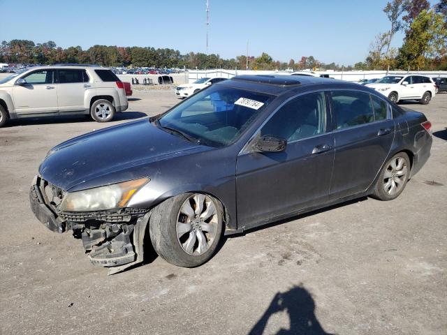 2010 Honda Accord Exl de vânzare în Dunn, NC - Front End