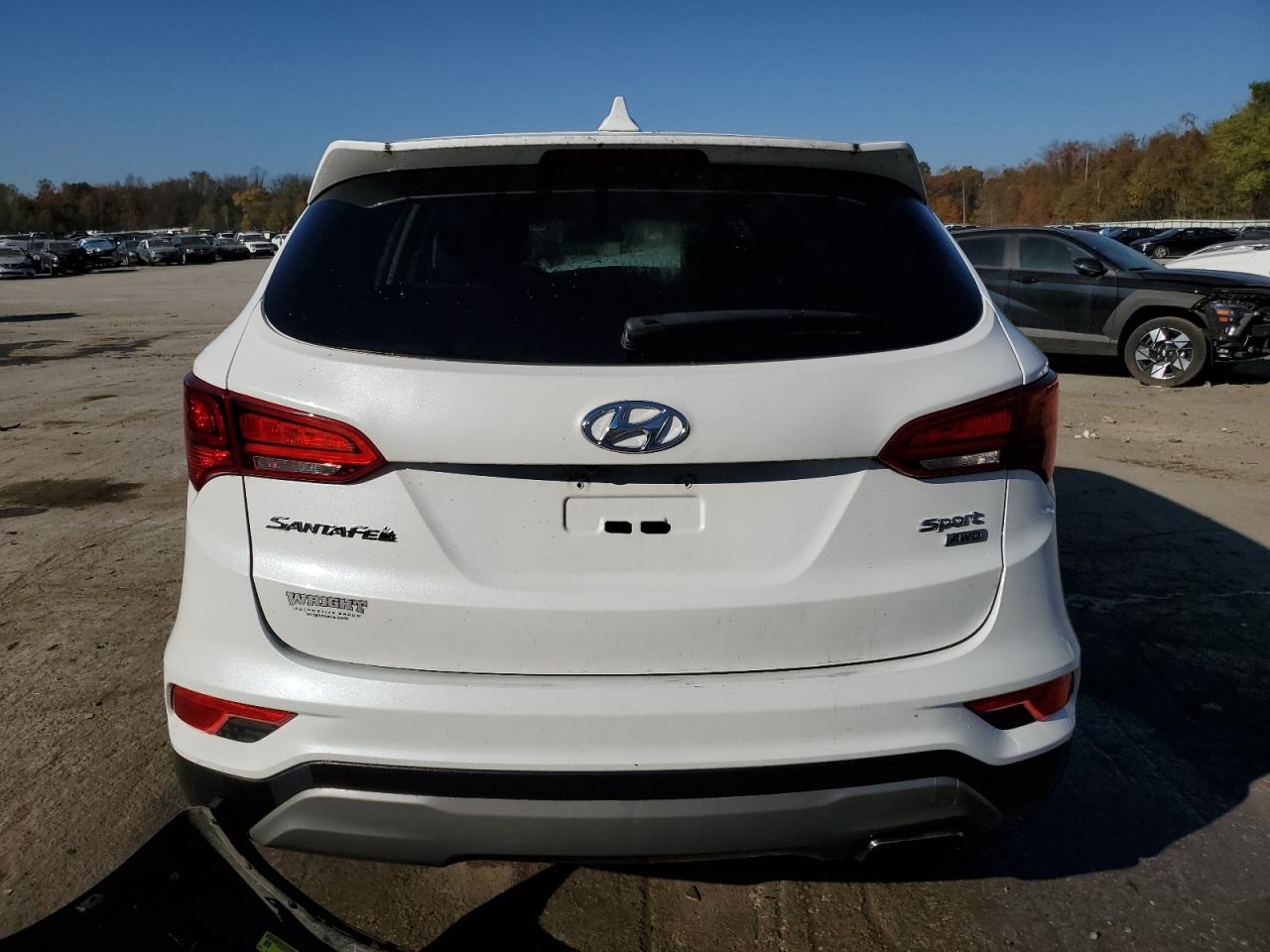 2017 Hyundai Santa Fe Sport VIN: 5XYZTDLB8HG394646 Lot: 76889744