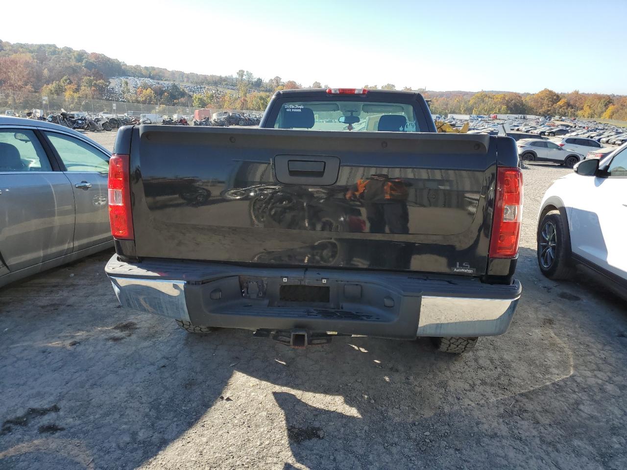 2009 Chevrolet Silverado K1500 VIN: 1GCEK14X89Z262421 Lot: 76993564