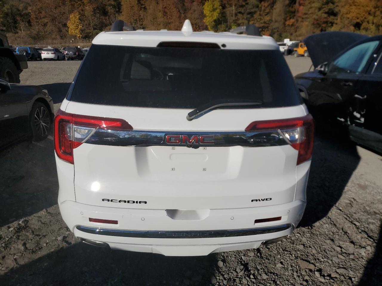 2023 GMC Acadia Denali VIN: 1GKKNXLSXPZ236195 Lot: 77838714