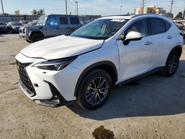  LEXUS NX 250 PRE 2024 Белый