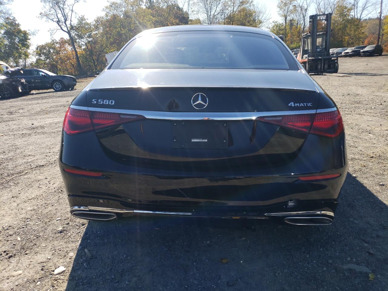 2023 Mercedes-Benz S 580 4Matic VIN: W1K6G7GB4PA203991 Lot: 77801644