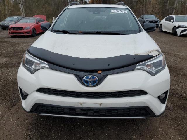  TOYOTA RAV4 2017 Білий