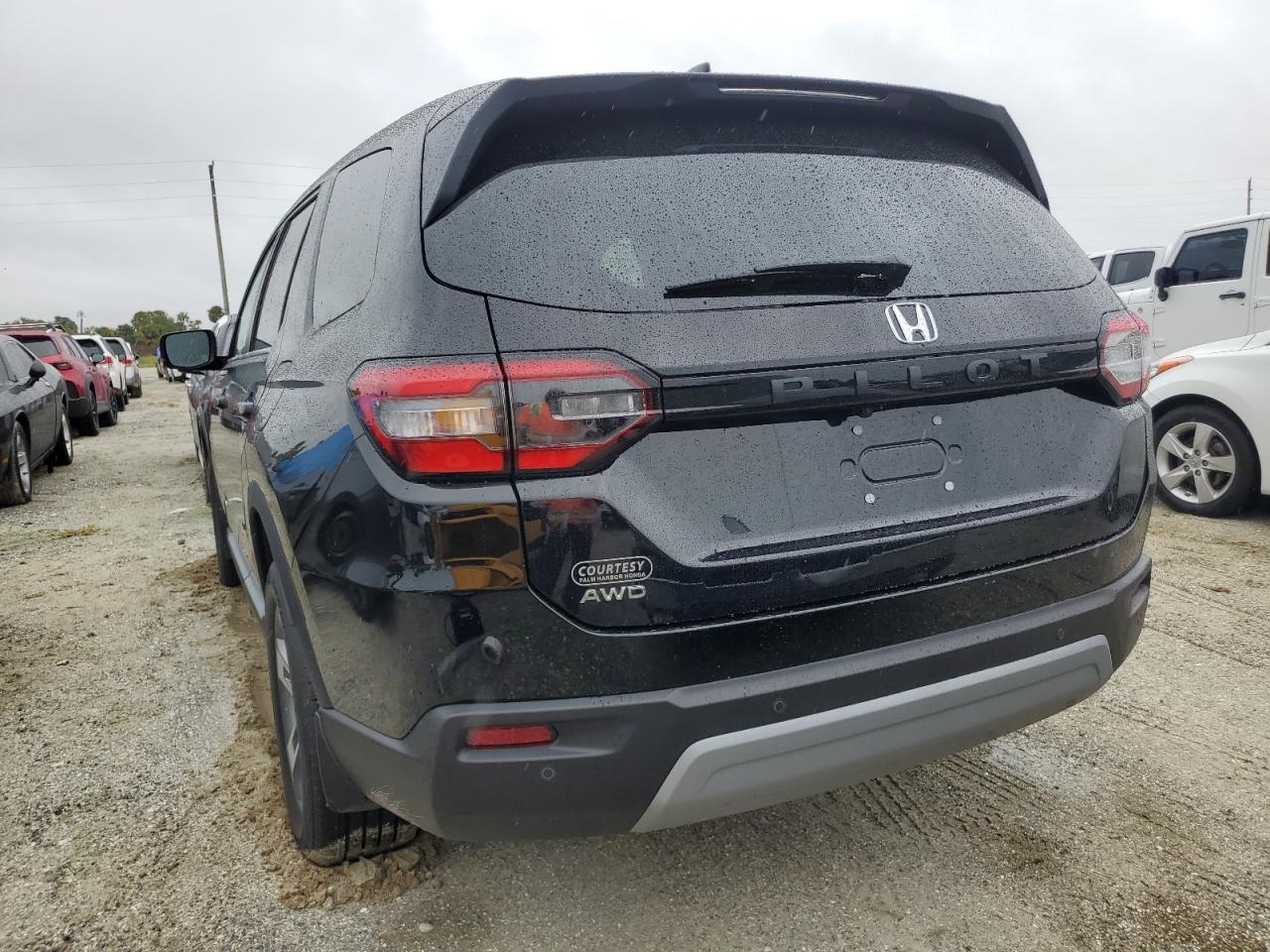 5FNYG1H4XRB030374 2024 Honda Pilot Exl