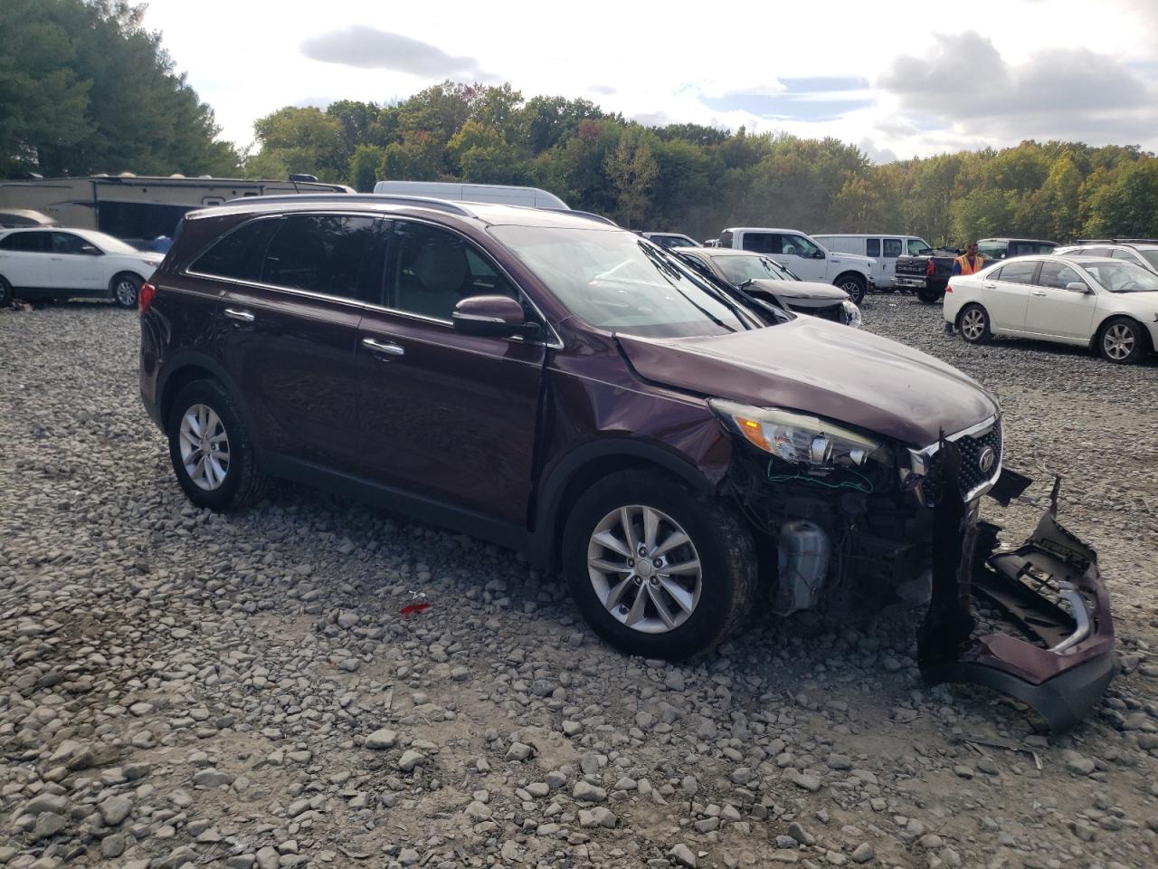 2017 Kia Sorento Lx VIN: 5XYPG4A30HG248619 Lot: 73966294