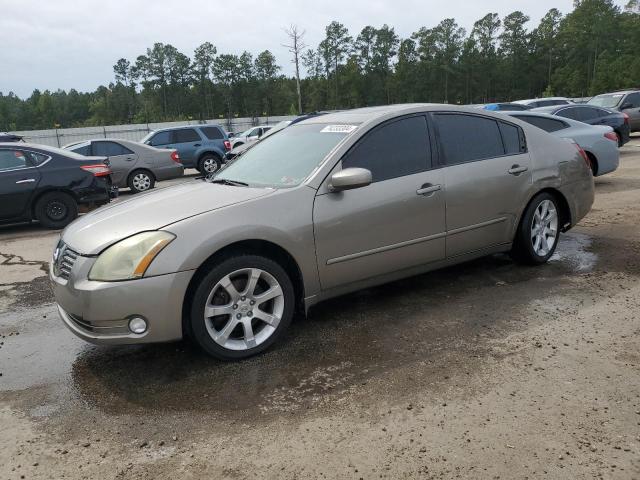 2004 Nissan Maxima Se