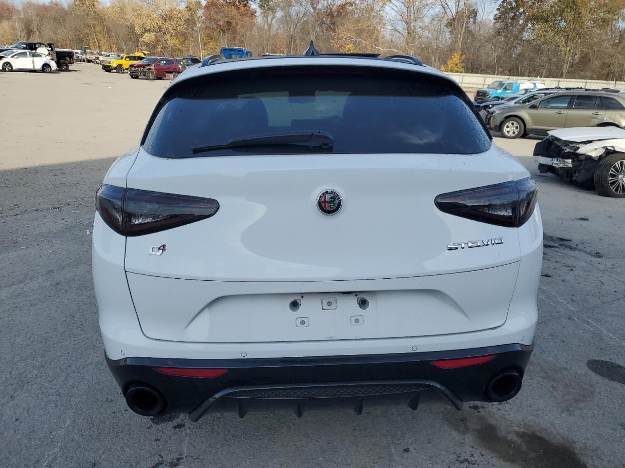 2024 Alfa Romeo Stelvio - Image 6