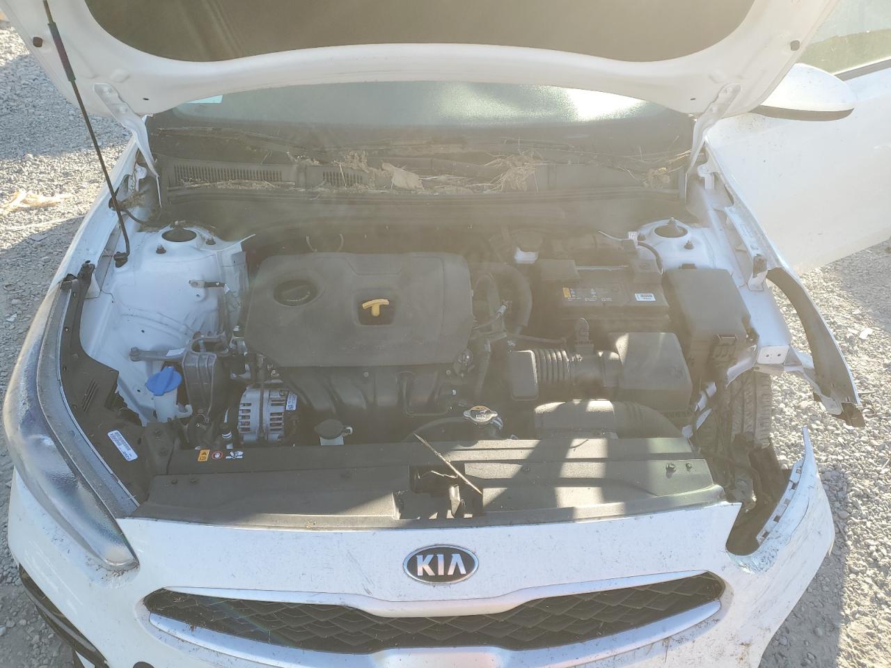 2020 Kia Forte Fe VIN: 3KPF24AD5LE245918 Lot: 76143014