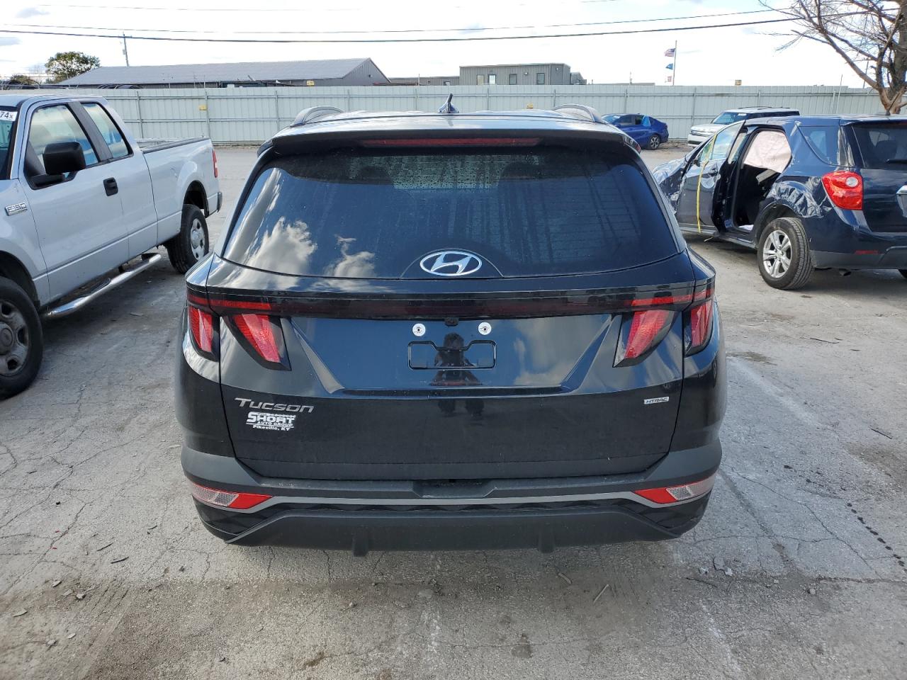 2024 Hyundai Tucson Sel VIN: 5NMJBCDE4RH375456 Lot: 75702864