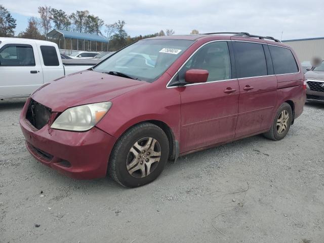 2005 Honda Odyssey Exl