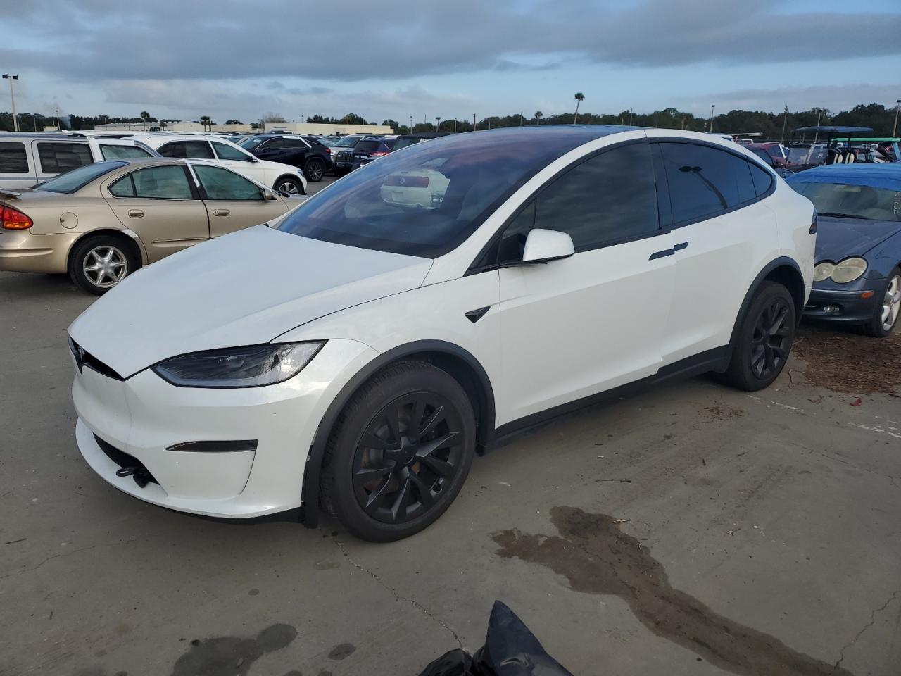 2023 Tesla Model X VIN: 7SAXCDE55PF409093 Lot: 75090844