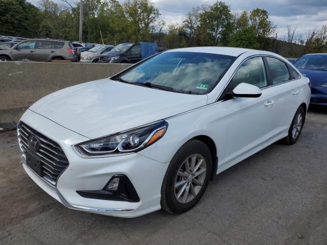  HYUNDAI SONATA 2019 Biały