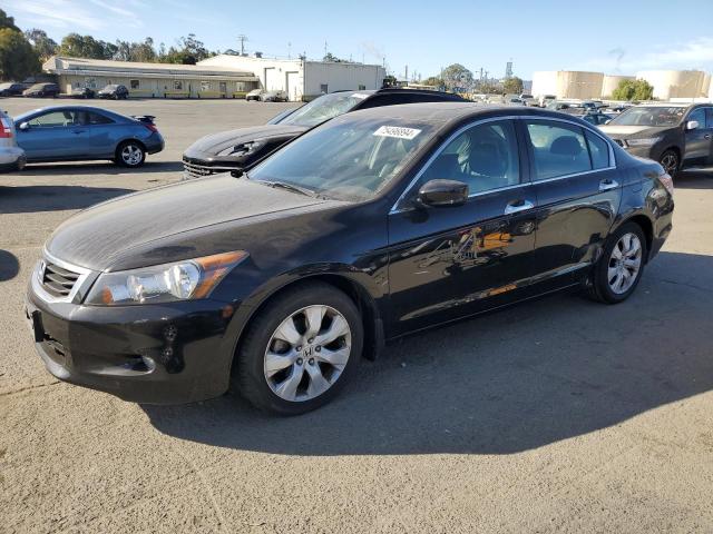 2010 Honda Accord Exl