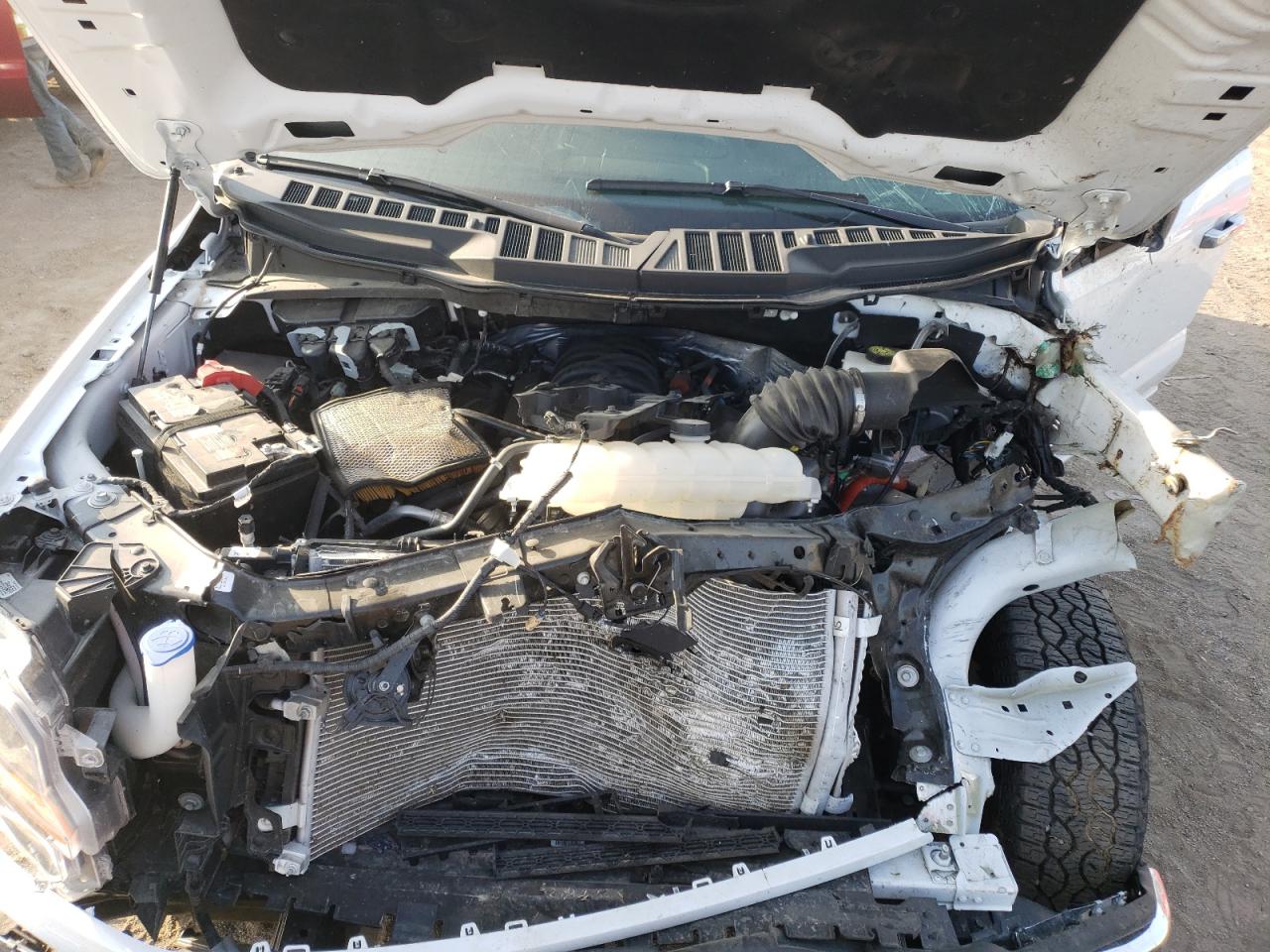 2024 Ford F150 Xlt VIN: 1FTFW3L54RKD69298 Lot: 74377514