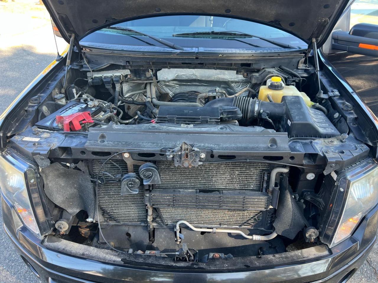 2014 Ford F150 Supercrew VIN: 1FTFW1EF6EFA64348 Lot: 77280524