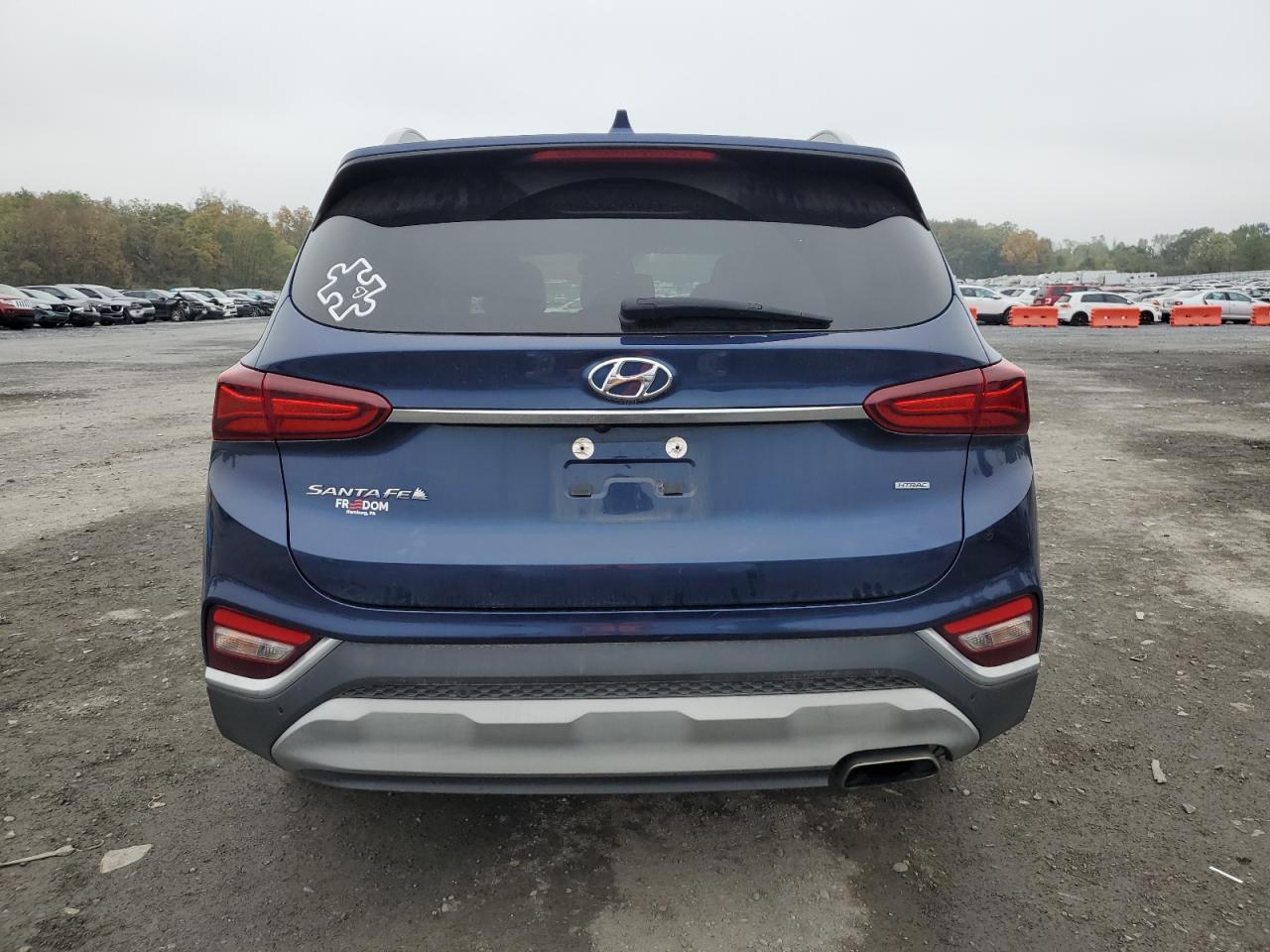 2020 Hyundai Santa Fe Sel VIN: 5NMS3CAD6LH138956 Lot: 73768844