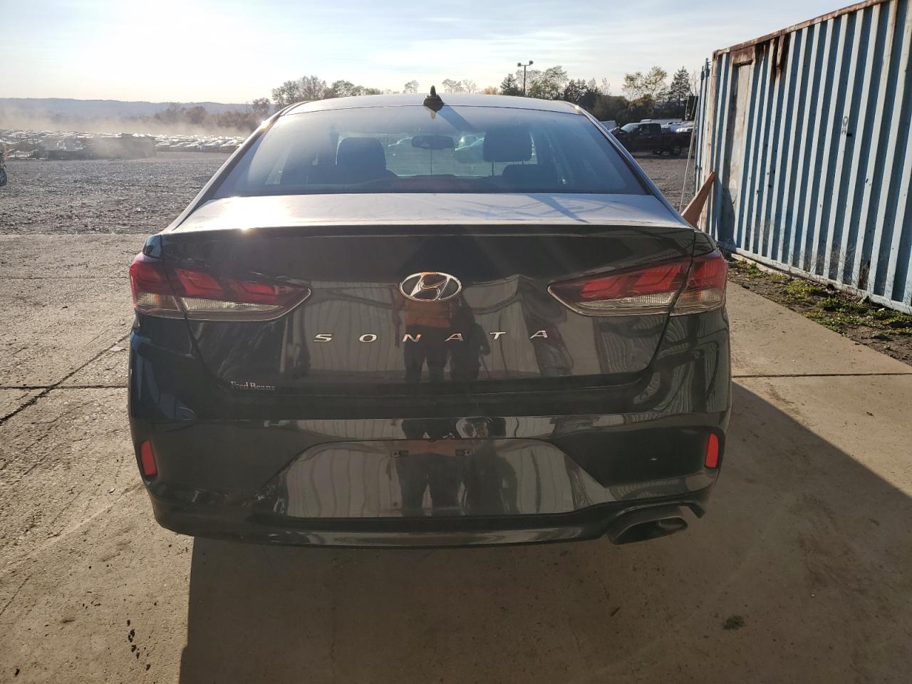 5NPE34AFXKH729166 2019 Hyundai Sonata Limited