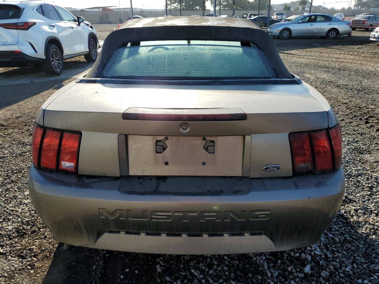 2001 Ford Mustang VIN: 1FAFP44491F192369 Lot: 77693644