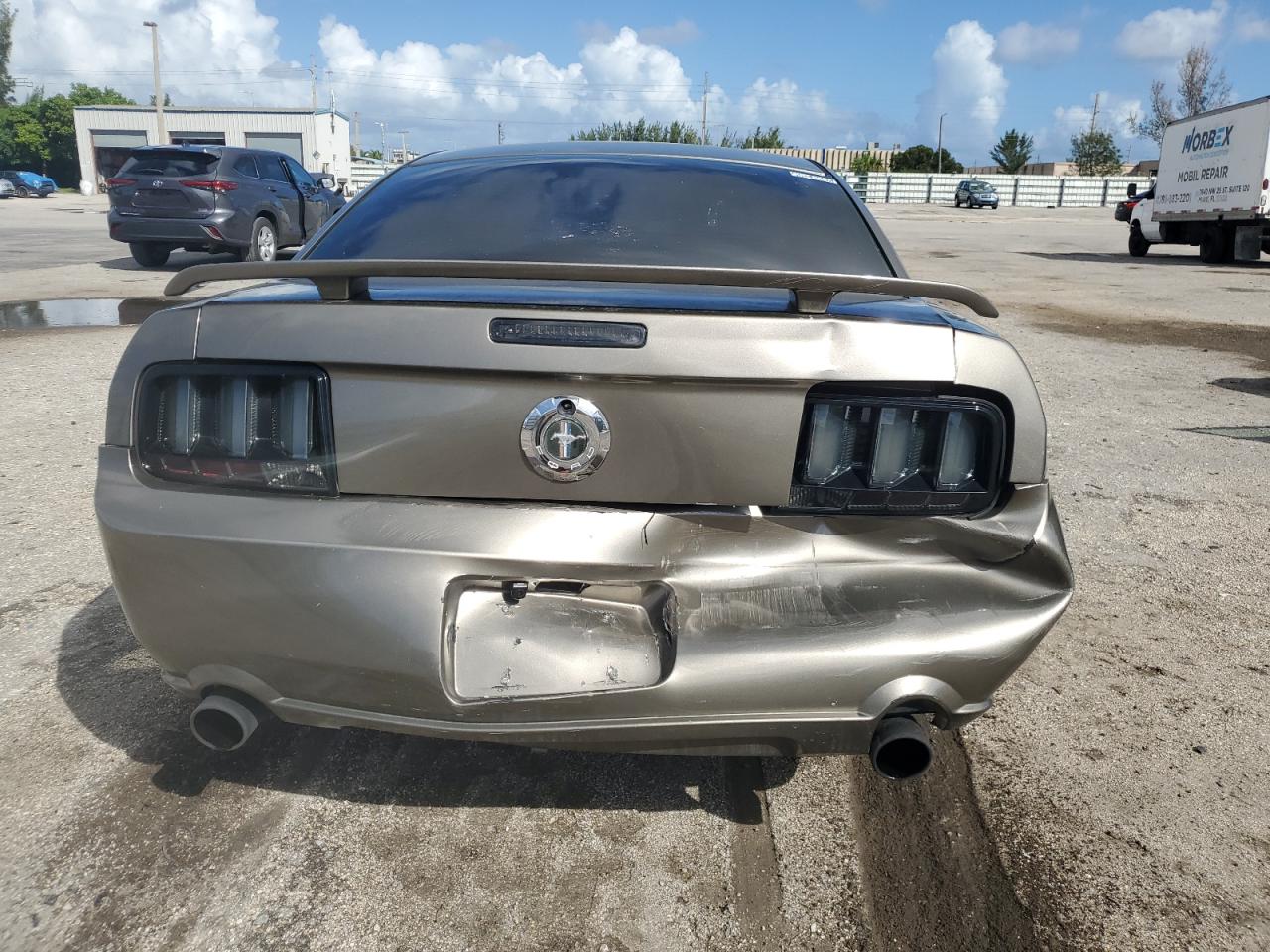 2005 Ford Mustang VIN: 1ZVFT80N555107354 Lot: 77069454