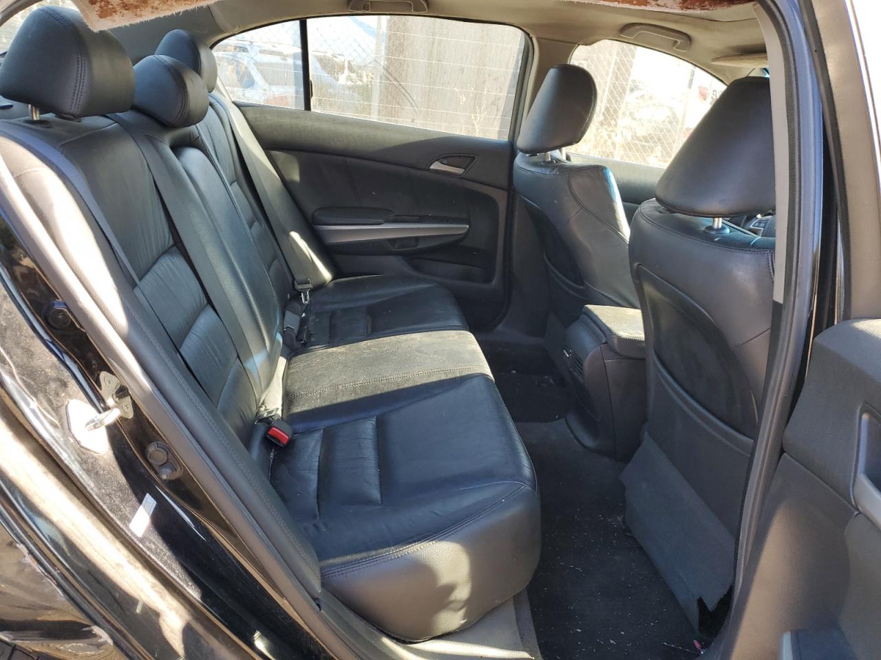 2010 Honda Accord Exl VIN: 1HGCP3F8XAA026836 Lot: 76686994