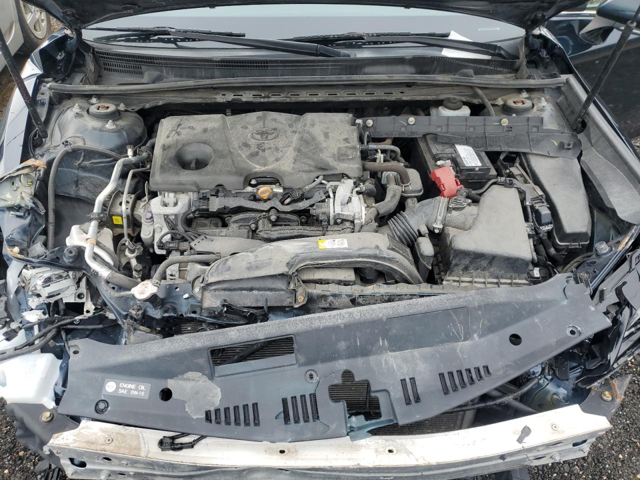 4T1B11HK6KU832838 2019 Toyota Camry L