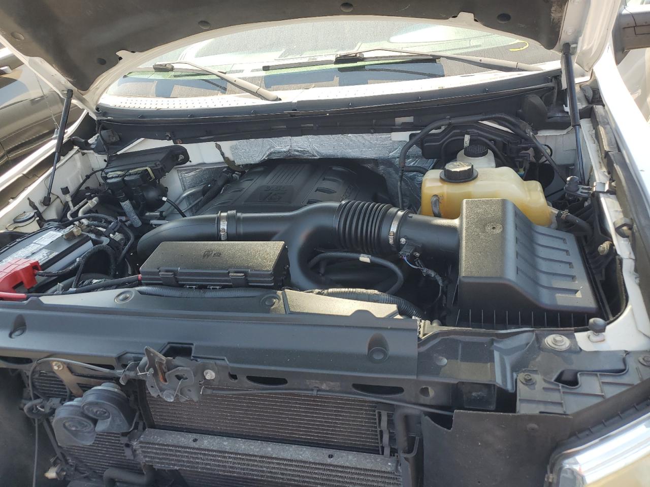 2011 Ford F150 Supercrew VIN: 1FTFW1ET0BFB36999 Lot: 74477304