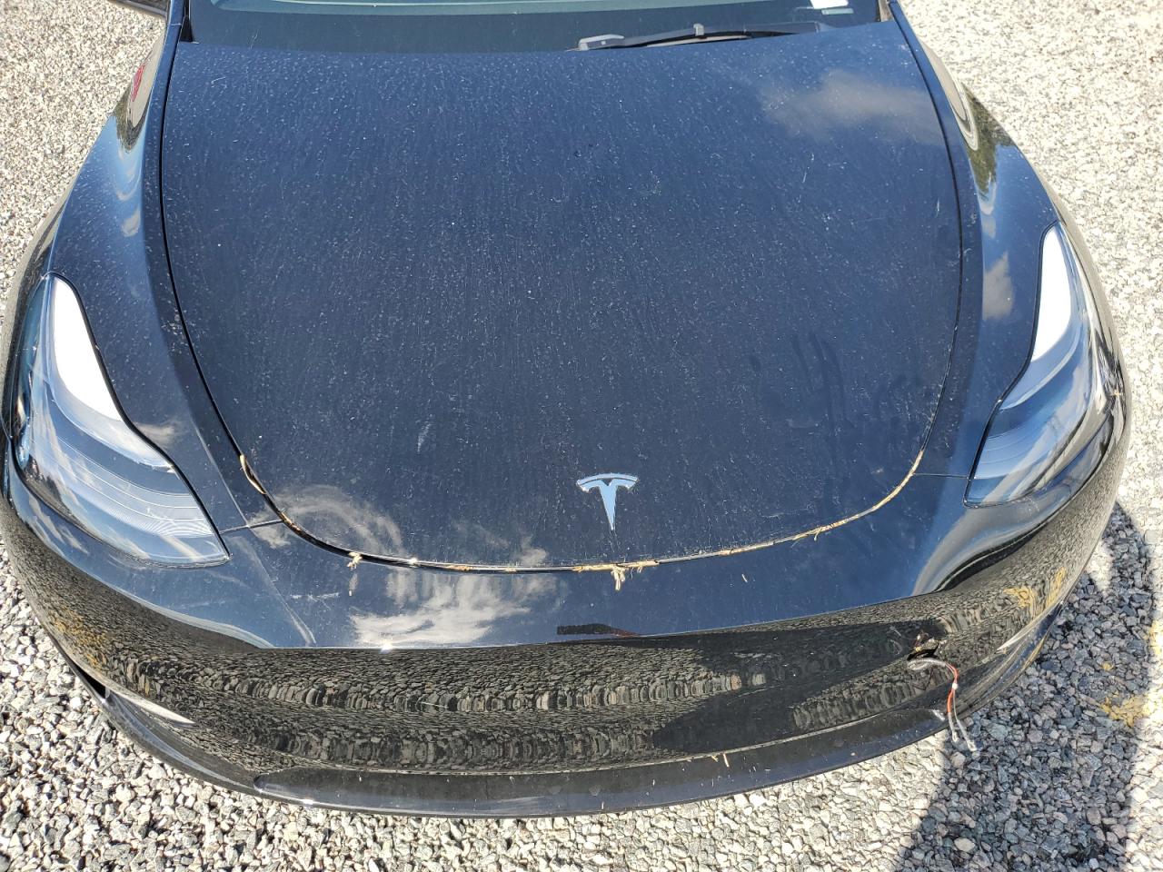 7SAYGDEE0PA181512 2023 Tesla Model Y