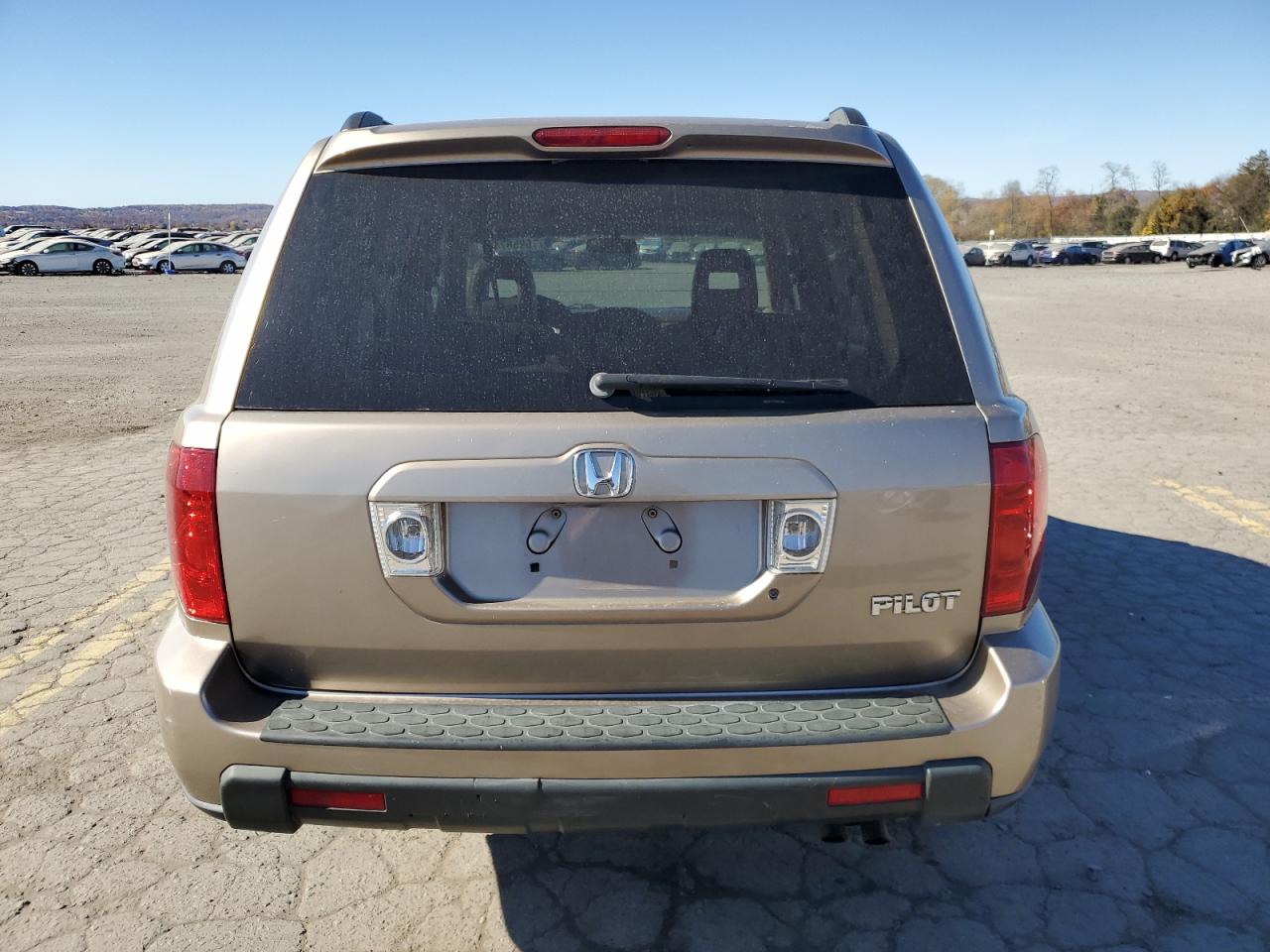 2004 Honda Pilot Exl VIN: 2HKYF18684H620460 Lot: 76958744