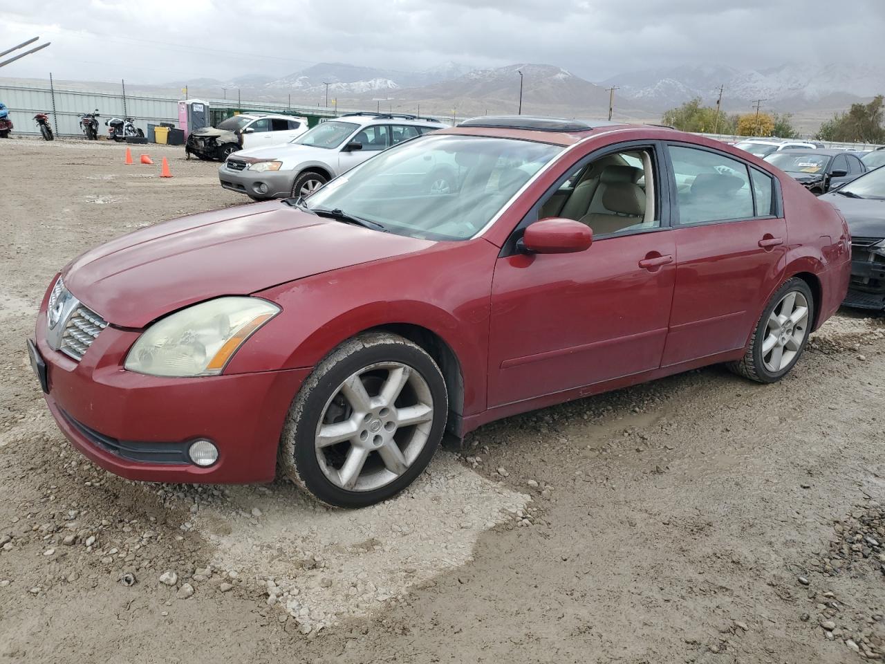 2004 Nissan Maxima - Image 1