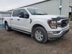 2023 FORD F150 SUPERCREW for sale at Copart ON - TORONTO