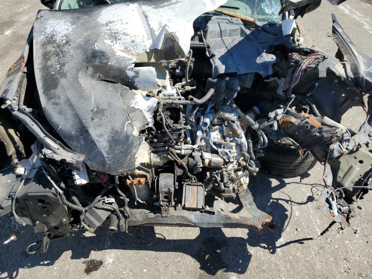 2008 Nissan Maxima Se VIN: 1N4BA41E78C824021 Lot: 51619025