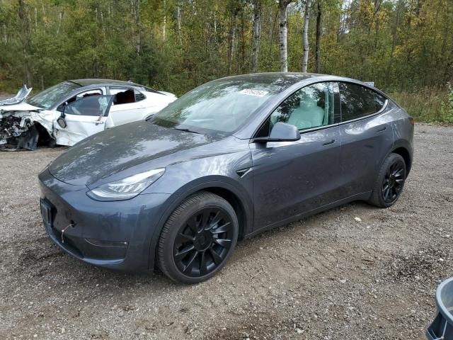  TESLA MODEL Y 2023 Угольный