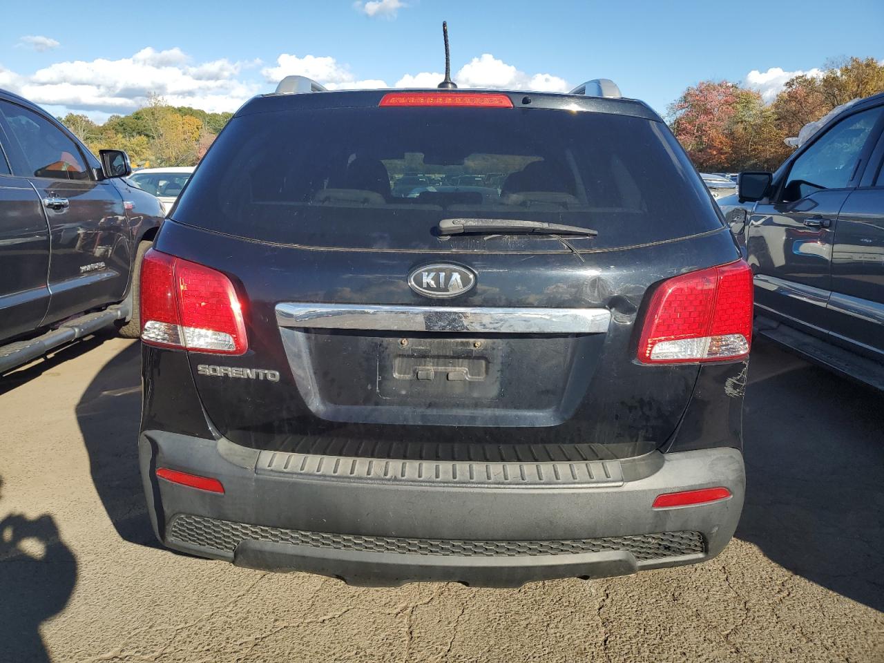 2013 Kia Sorento Lx VIN: 5XYKT4A2XDG401563 Lot: 76055814