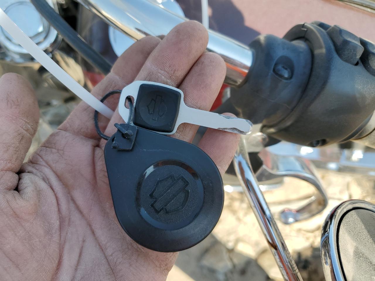 2019 Harley-Davidson Flde VIN: 1HD1YCJ21KB067775 Lot: 72730484