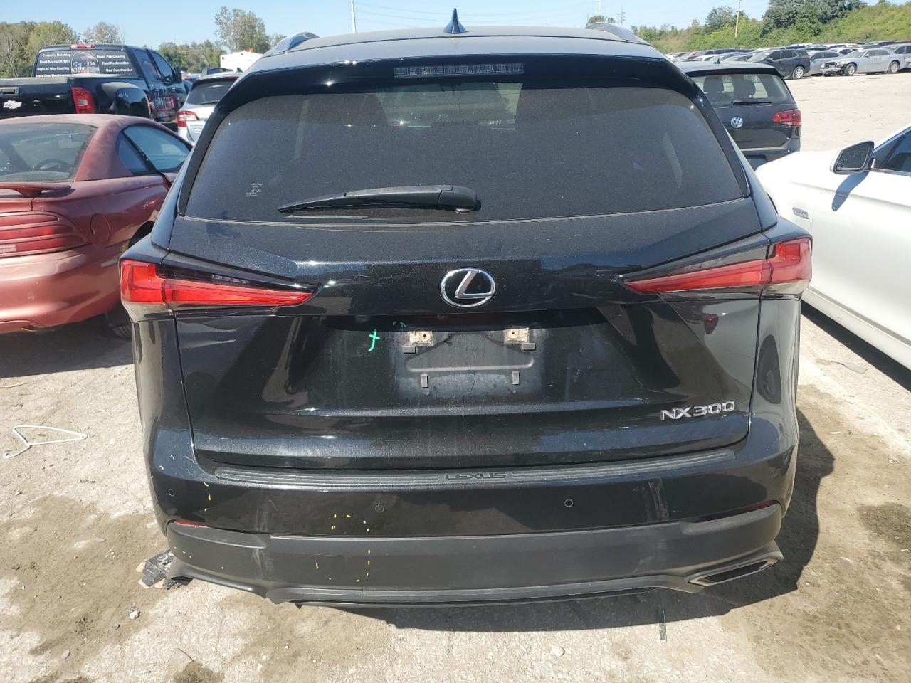 2020 Lexus Nx 300 VIN: JTJDARDZ1L5011315 Lot: 74954074