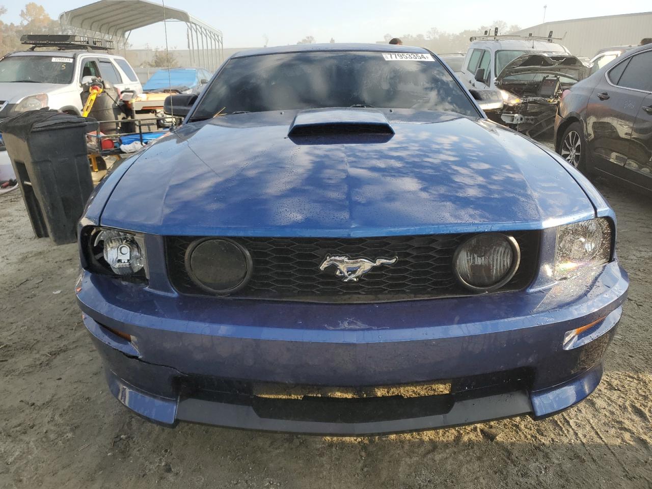 2008 Ford Mustang Gt VIN: 1ZVHT82H085198845 Lot: 77953354