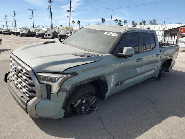  TOYOTA TUNDRA 2024 Turquoise