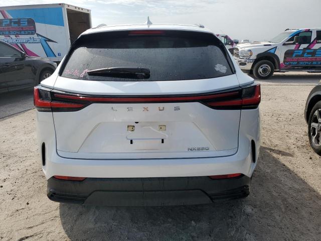 JTJADCAZ1N5001141 Lexus NX 250  6