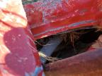 2001 Chevrolet Silverado K1500 for Sale in Madisonville, TN - Water/Flood