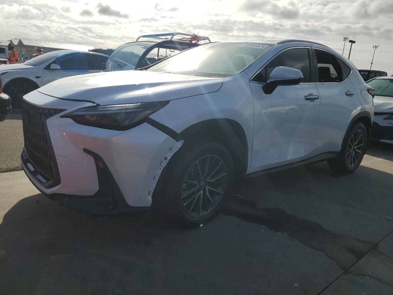 2T2AKCEZXRC028765 2024 LEXUS NX - Image 1