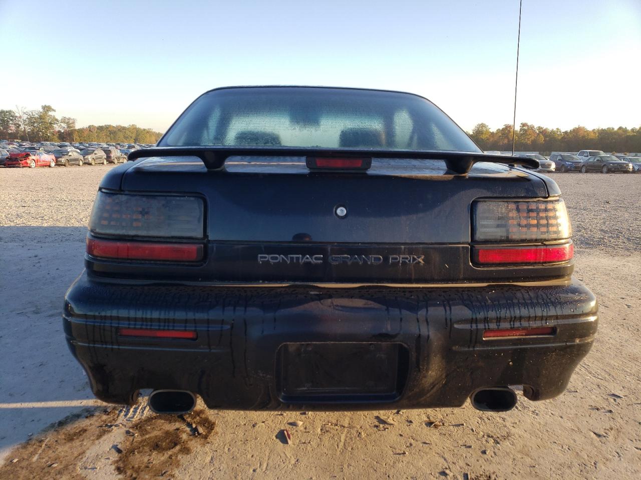 1995 Pontiac Grand Prix Se VIN: 1G2WJ12M0SF203262 Lot: 75790544