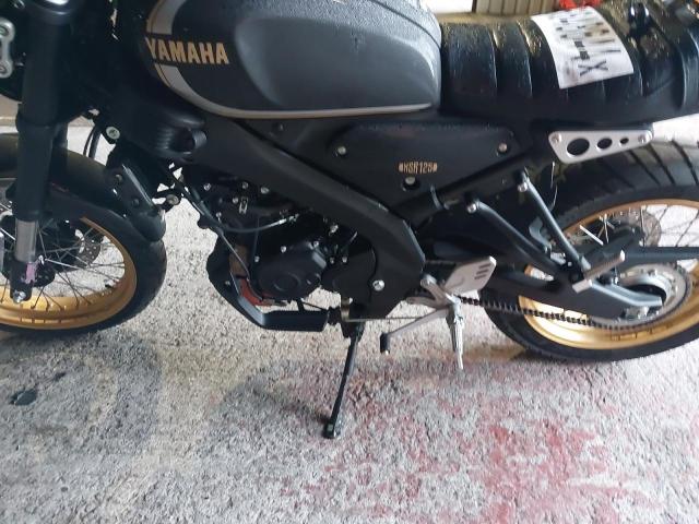 2024 YAMAHA XSR 125 (M