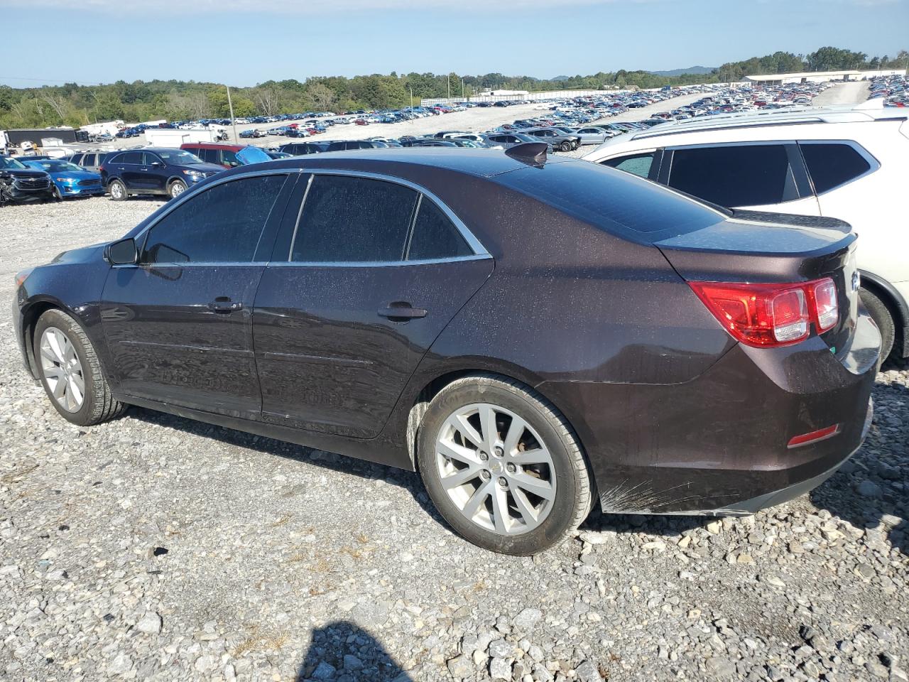 1G11D5SL5FF167823 2015 CHEVROLET MALIBU - Image 2