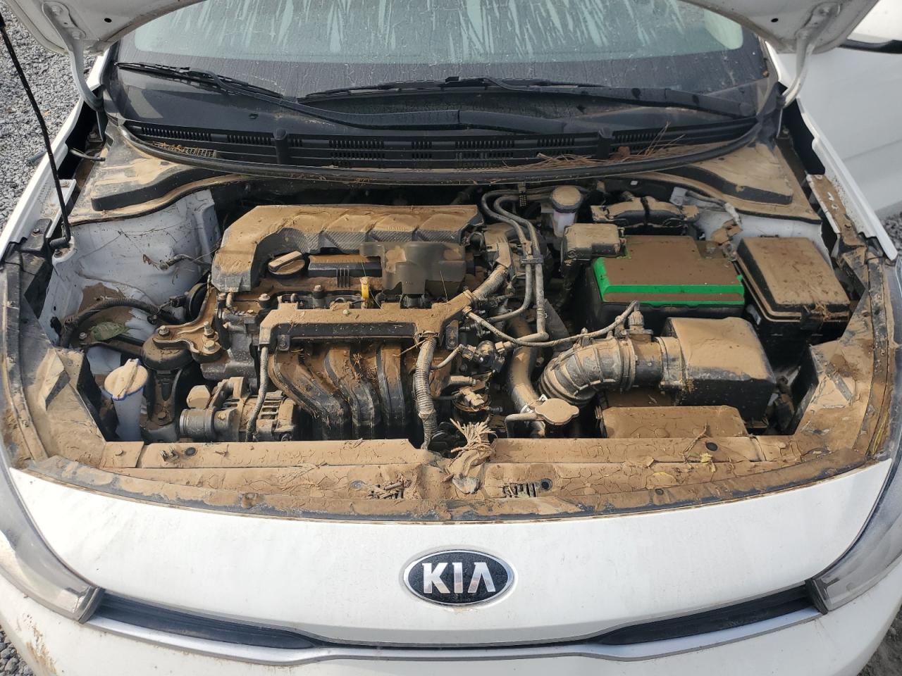 2021 Kia Rio Lx VIN: 3KPA24AD4ME392890 Lot: 74504554