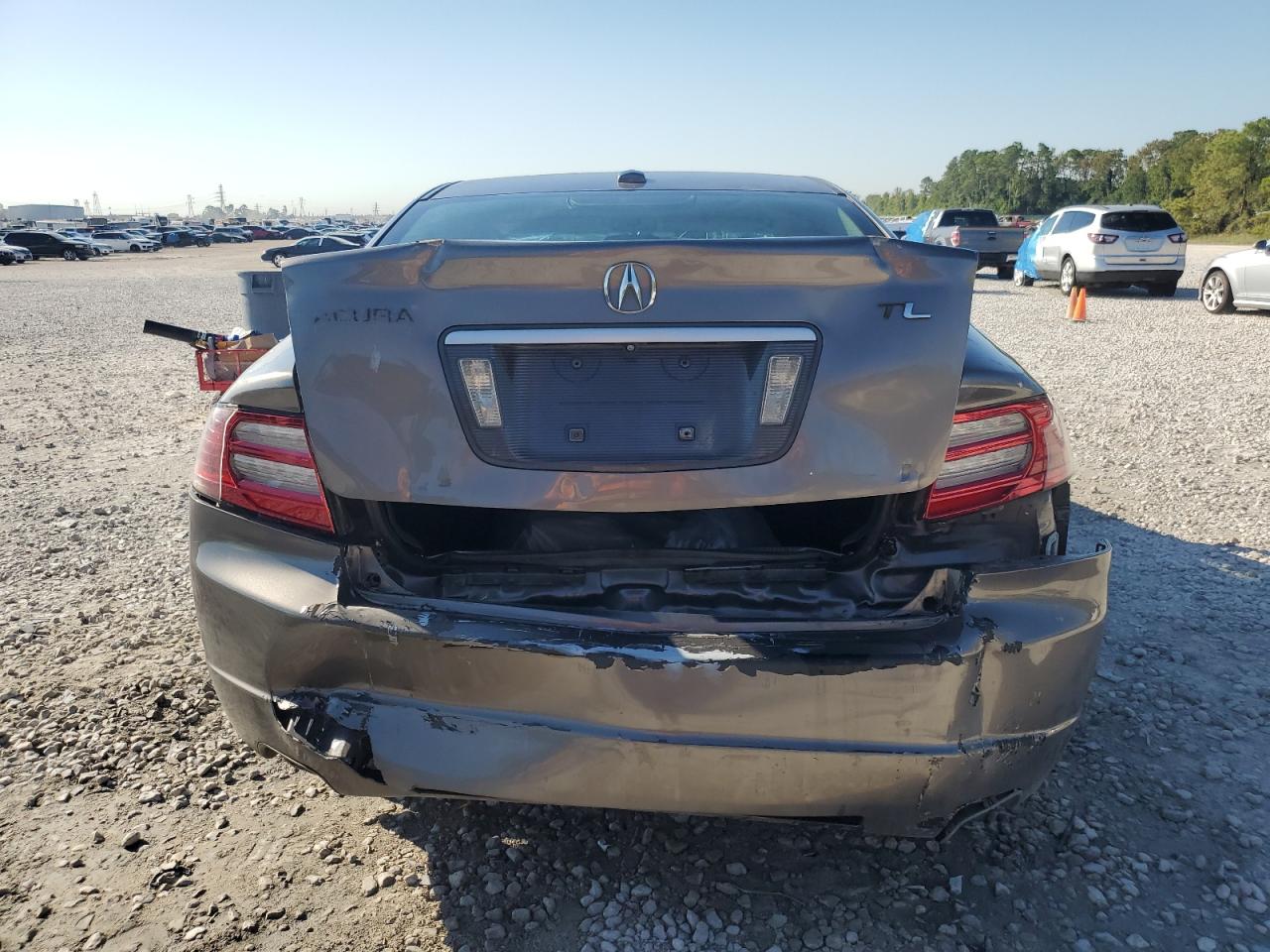 19UUA66298A026436 2008 Acura Tl