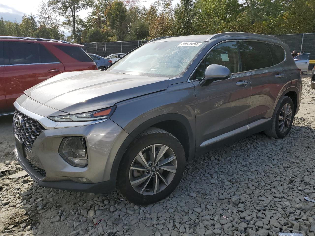 2020 Hyundai Santa Fe Sel VIN: 5NMS3CAD7LH171559 Lot: 75818484