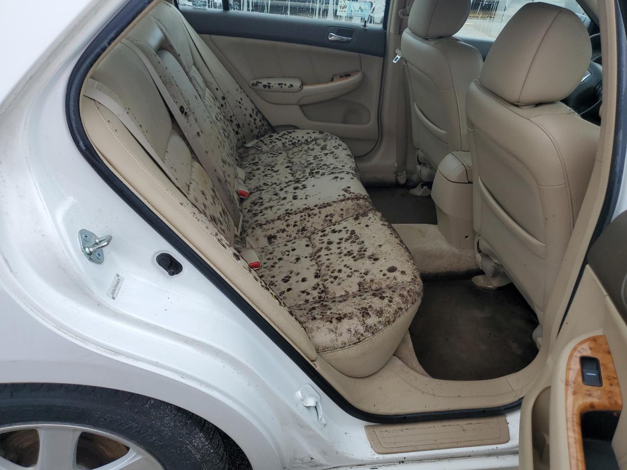 2005 Honda Accord Ex VIN: 1HGCM66595A008298 Lot: 74793864