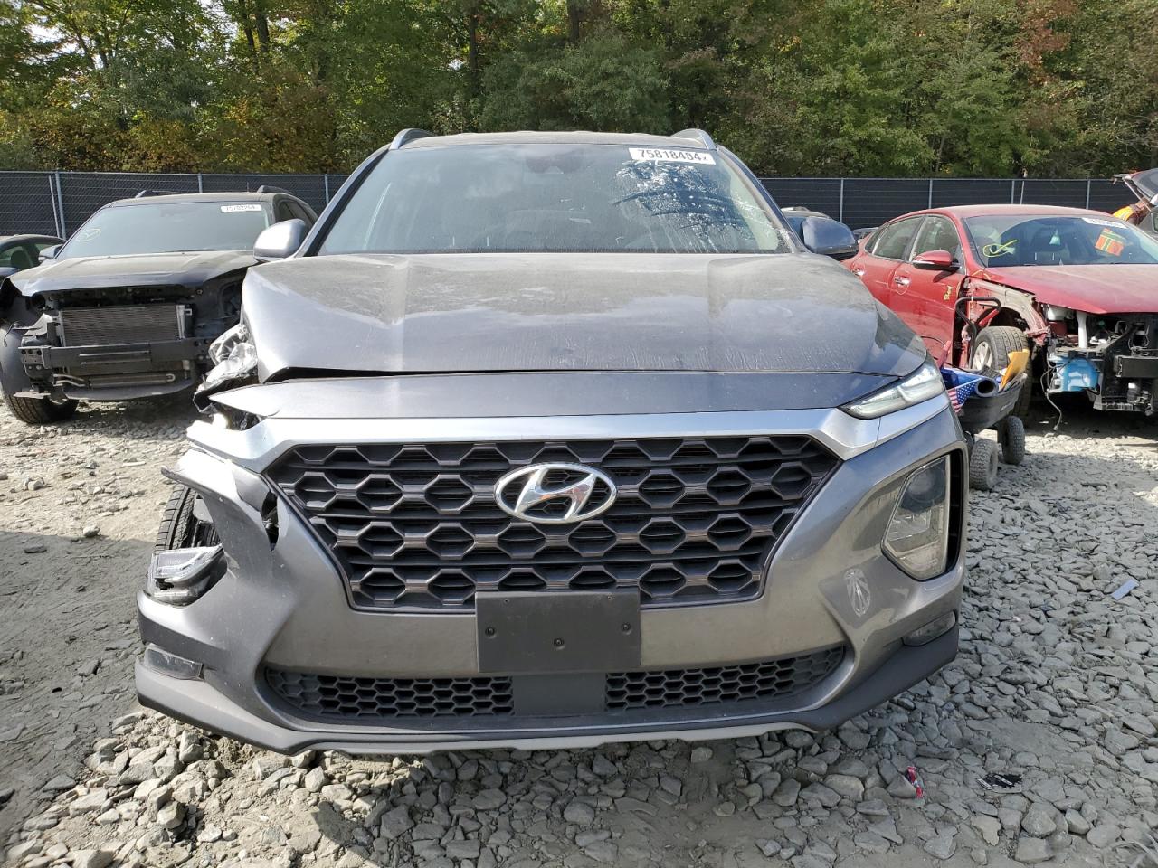 2020 Hyundai Santa Fe Sel VIN: 5NMS3CAD7LH171559 Lot: 75818484