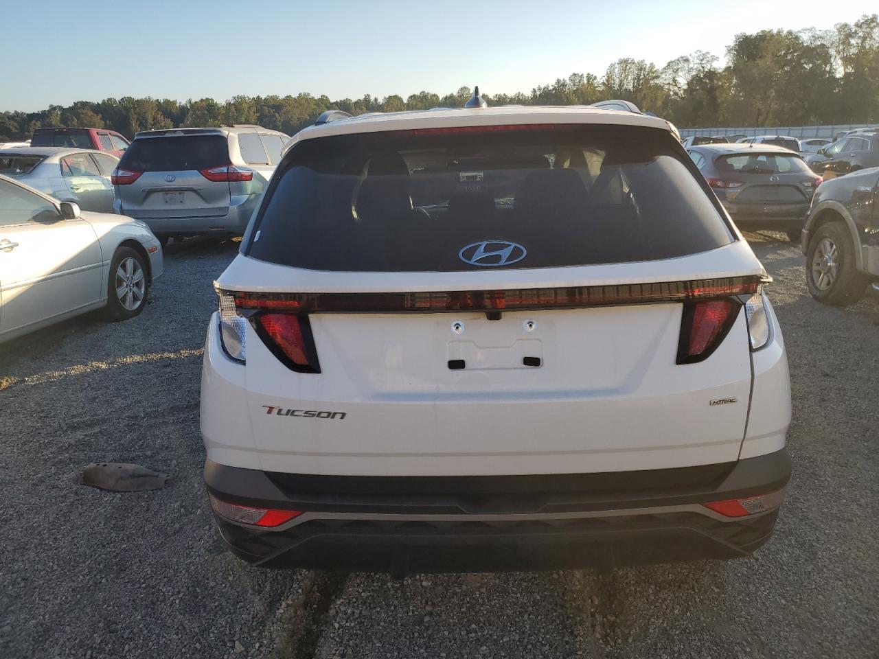 2024 Hyundai Tucson Sel VIN: 5NMJBCDE2RH393700 Lot: 74353774